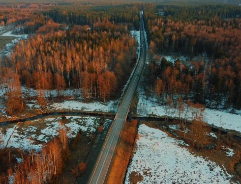 aerial view of road in between trees